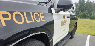 Bracebridge OPP Lay Cannabis Charges On Two Young Drivers