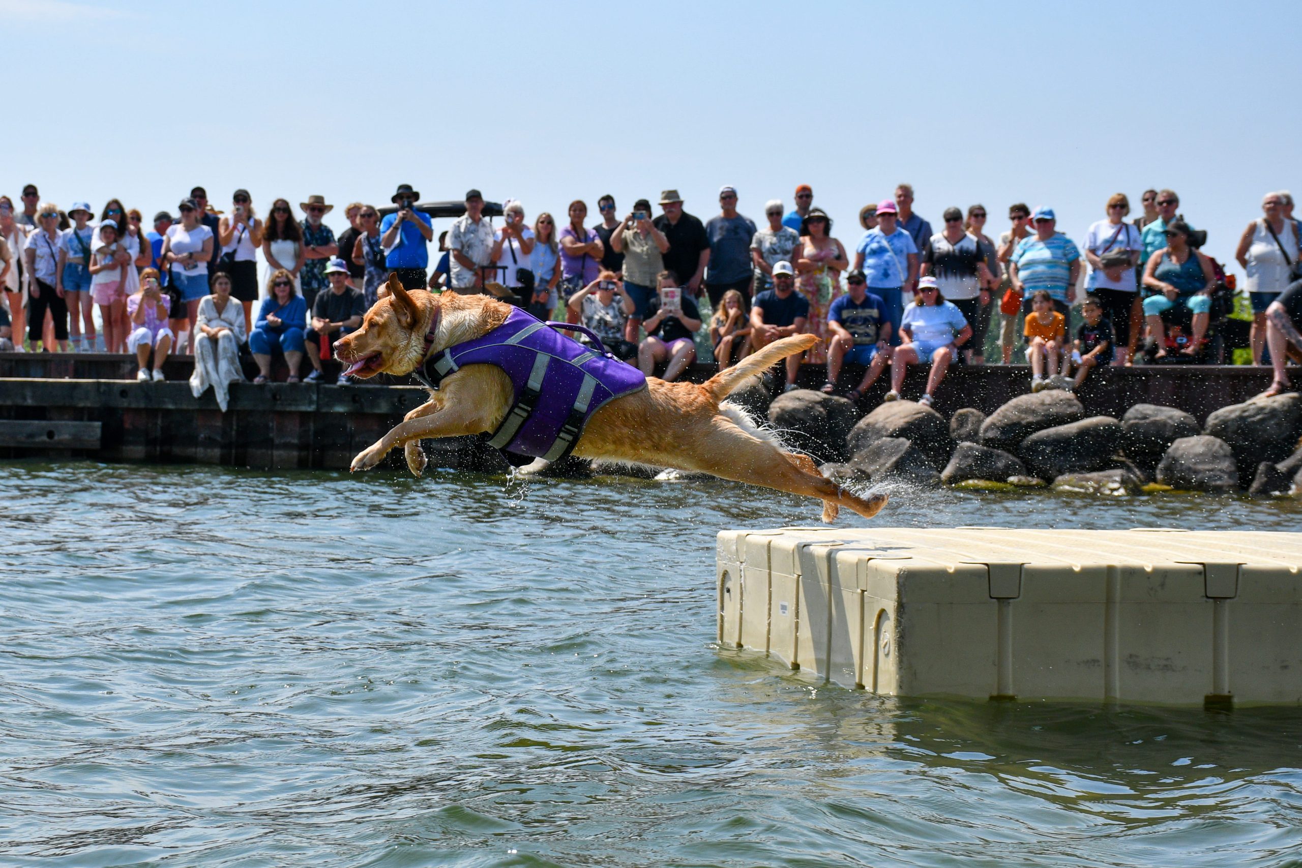 Lets Go To The Waterfront Festival At Port Of Orillia This Weekend