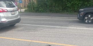 E-Scooter Operator Sent To Hospital And Charged After Collision In Bracebridge