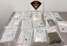Traffic Stop Leads To Drug Trafficking Charges In Midland