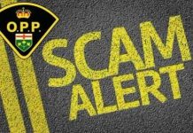 Collingwood OPP Warns Public About Zoom Meeting Fraud