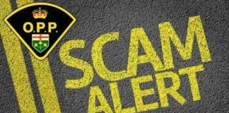 Collingwood OPP Warns Public About Zoom Meeting Fraud