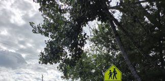 Bracebridge OPP Will Be Conducting Traffic Enforcement In School Zones
