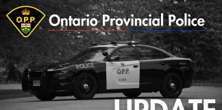 Three Youths Face Ten Counts Of Charges In Gravenhurst Mischief Case