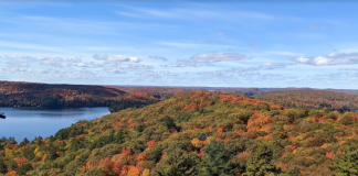 Borrow A Free Dorset Scenic Lookout Tower Pass At Haliburton County Or Lake Of Bays Public Library