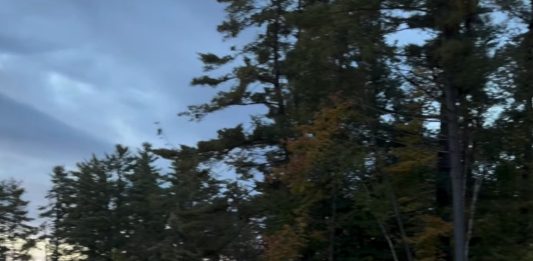 Did you Attend Muskoka Marathon? Share Your Experience