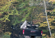 Driver Charged For Going 138 km/h In A Posted 80 km/h Zone On Hwy. 60